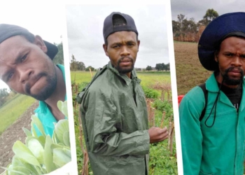 TikTok farmer Njabulo Mabaso
