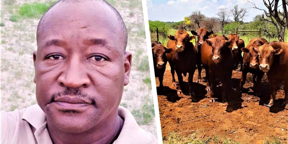 Successful commercial livestock farmer and mentor Duncan Serapelwane