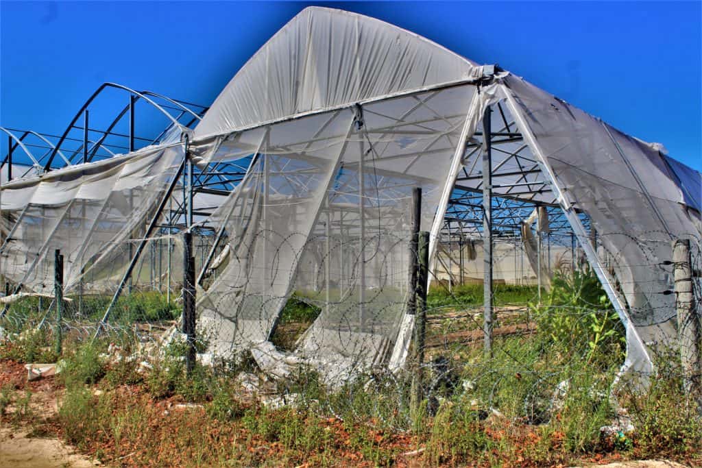 Farm crime: The Algina Wholesale Plant Nursery in Firgrove in the Western Cape has been struggling to recover from crime-induced losses since the first break-in seven years ago. Photo: Duncan Masiwa/Food For Mzansi