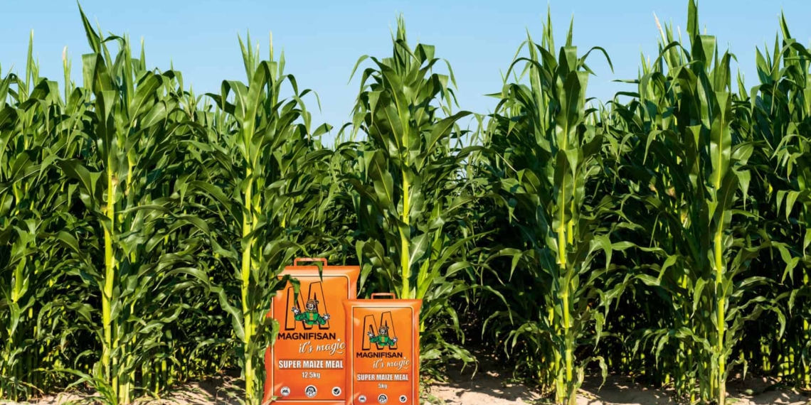 Magnifisan’s unconventional orange bag with a clown as brand or trademark has become a sought-after item in many households. Photo: Supplied/Food For Mzansi