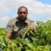 Farm crime