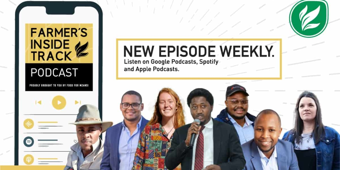 This week’s podcast features (from left) Sinelizwi Fakade, Byron Booysen, Dona van Eeden, Usman Lawan, Ziphezinhle Gabuza, Lunathi Hlakanyane, and Shaistah Kham. Photo's: Supplied