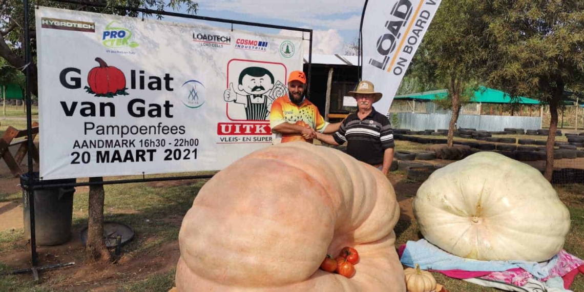 This year’s Goliat van Gat prize-winning pumpkin was cultivated by Wykus Lamprecht. He was congratulated by festival organiser Henri Combrink. Photo: Supplied/Food For Mzansi