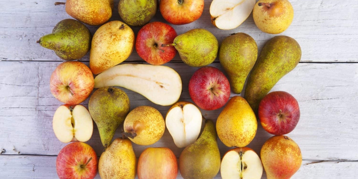 Vanguard International is expecting an "excellent" apple and pear season for South Africa. Photo: Supplied/Hortgro