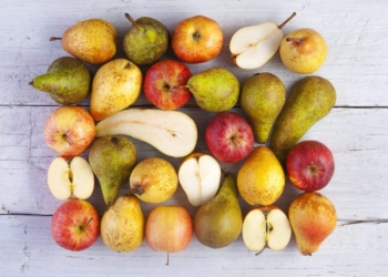 Vanguard International is expecting an "excellent" apple and pear season for South Africa. Photo: Supplied/Hortgro