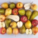 Vanguard International is expecting an "excellent" apple and pear season for South Africa. Photo: Supplied/Hortgro