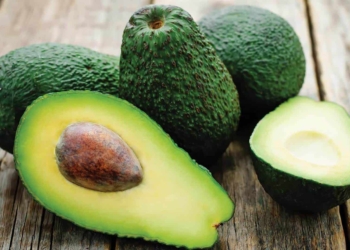 Although most consumers still prefer green-skinned avos, there is a slow shift towards dark-skinned fruit. Supplied/Food For Mzansi