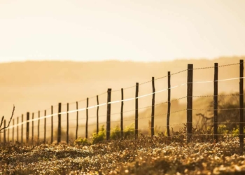 Crime: Western Cape agriculture says it remains committed to creating safer rural communities following the brutal attack on Kilpheuwel, outside Moorreesburg which led to the death of Ingrid Kock. Supplied/Food For Mzansi
