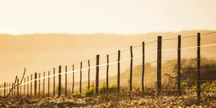 Crime: Western Cape agriculture says it remains committed to creating safer rural communities following the brutal attack on Kilpheuwel, outside Moorreesburg which led to the death of Ingrid Kock. Supplied/Food For Mzansi