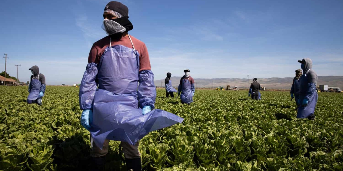 Human Rights Day commemorates the establishment of the South African Human Rights Commission and Sharpeville Massacre. Photo: Brent Stirton/Getty Images