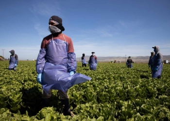 Human Rights Day commemorates the establishment of the South African Human Rights Commission and Sharpeville Massacre. Photo: Brent Stirton/Getty Images