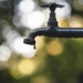 water licenses
