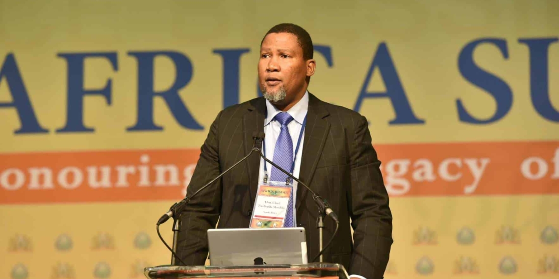 Zwelivelile Mandela, the chairperson of the portfolio committee on agriculture, land reform and rural development. Photo: GCIS/Flickr