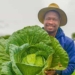 Market less important than quality, says Pfananai Augustine Nemasisi