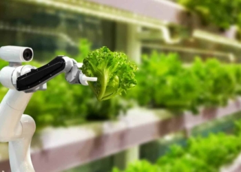 Agriculture Events: Another eventful week lies ahead in agriculture. The World Agri-Tech innovation summit is on Tuesday, exploring the role of technology in achieving a sustainable, efficient and healthy agri-food supply chain. Photo: Supplied/Food For Mzansi