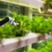 Agriculture Events: Another eventful week lies ahead in agriculture. The World Agri-Tech innovation summit is on Tuesday, exploring the role of technology in achieving a sustainable, efficient and healthy agri-food supply chain. Photo: Supplied/Food For Mzansi