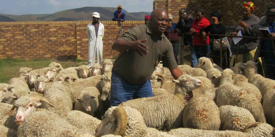 Agricultural economist Malapane Thamaga believes if farmers operate as a collective it enables them to negotiate for good prices rather that competing amongst themselves, leading to buyers dictating their prices. Photo: Supplied