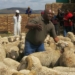 Agricultural economist Malapane Thamaga believes if farmers operate as a collective it enables them to negotiate for good prices rather that competing amongst themselves, leading to buyers dictating their prices. Photo: Supplied