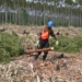 The forestry sector contributes 1,20% to GDP and employs just more than 200 000 people. Photo: Supplied/SA Forestry
