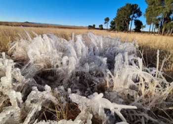 Over the past few mornings frost has occurred in the low-lying parts of the southern Free State. Photo: Supplied/Free State Agriculture
