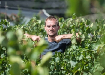 Fourth-generation farmer and winemaker, Philip Jonker is on a mission to change to not only his community, but Africa. Photo: Supplied/Food For Mzansi