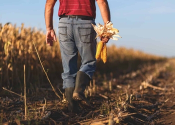 African agriculture: Investment in agriculture on the African continent still looks like a very attractive prospect for foreign investors, argues Roux Wildenboer, sector head: agriculture at the Absa Group. Photo: Supplied/Food For Mzansi