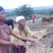 Thembelihle Gxothiwe, the husband of the Eastern Cape MEC for transport, safety and liaison, Weziwe Tikana, is allegedly evicting tenant farmer Neziswa Moyeni and her family off the Sunnyside farm on which they’ve lived and worked since the 1960s. Photo: Supplied/Food For Mzansi