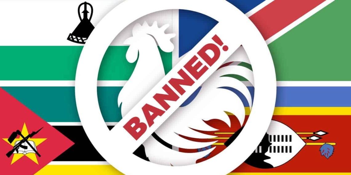 Following an avian influenza outbreak in April, all of Mzansi’s neighbouring countries have lifted the ban on exports of live chicken and unprocessed products, except for Lesotho, which has banned exports from Gauteng. Photo: Food For Mzansi