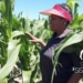 Thalita Zondi (52) started her farming enterprise in Randfontein after a chance encounter: a newspaper advert from the ARC offering courses in vegetable production. Photo: Supplied/ Food For Mzansi