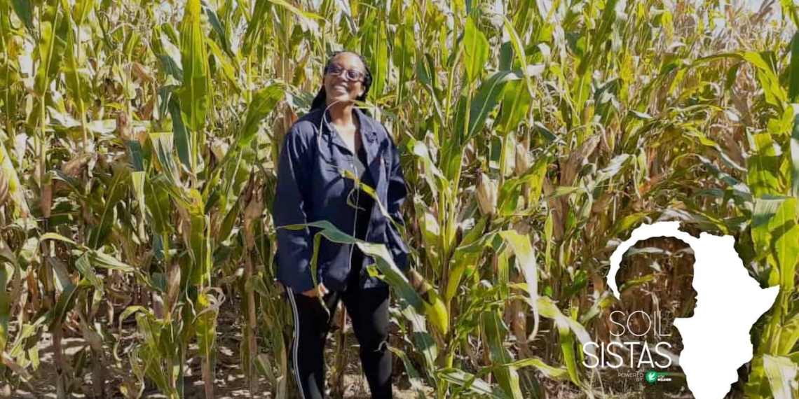 Keabetswe Mokgatla farms with maize and cattle in Kalbasfontein in Gauteng. Photo: Supplied/Food For Mzansi