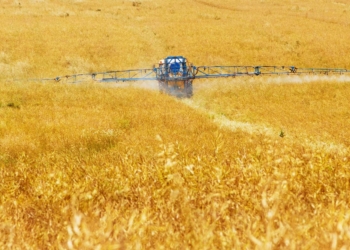 Crop farmers are negatively impacted by the high fertiliser prices.