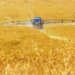Crop farmers are negatively impacted by the high fertiliser prices.