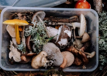 This week’s agriculture events: 05 – 11 April