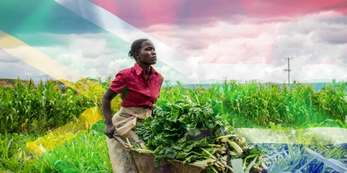 AFASA acting president A.J. Mthembu says the Easter weekend fills farmers with both joy and anxiety. Image: Supplied/Joy News