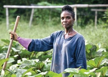 Women in Africa are generally traditionally responsible for food security and household management and therefore they tend to be on the frontline of managing climate risk at household levels too. Photo: Supplied/Food For Mzansi