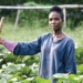 Women in Africa are generally traditionally responsible for food security and household management and therefore they tend to be on the frontline of managing climate risk at household levels too. Photo: Supplied/Food For Mzansi