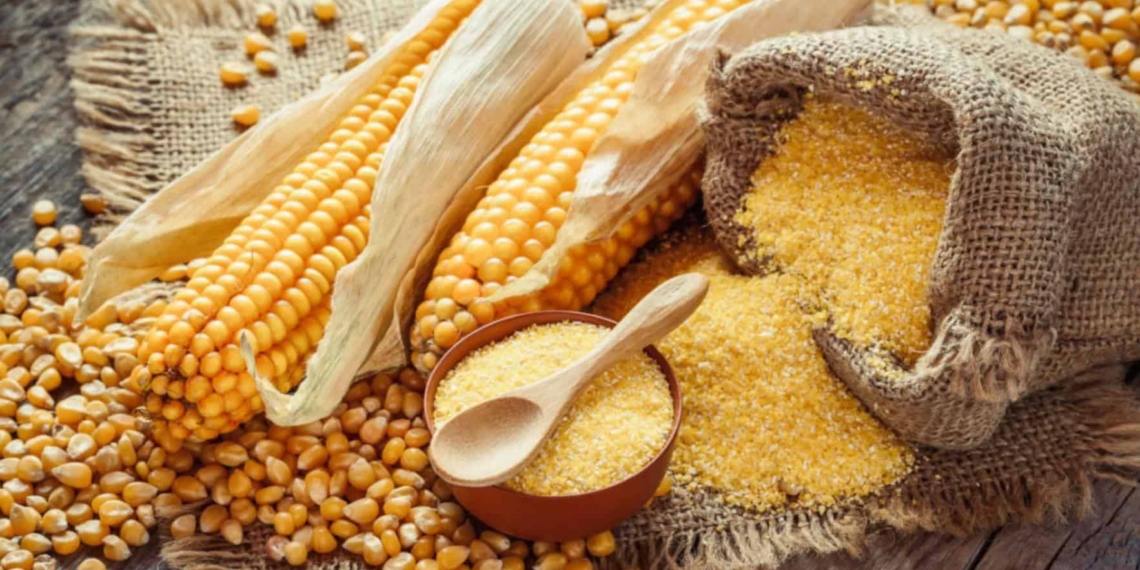 Did you know South African farmers produce enough maize per year to not only meet the local demand, but also supply many other African countries? Photo: Supplied/Food For Mzansi