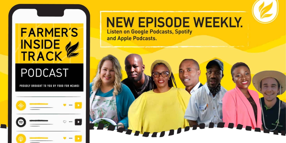 This week’s podcast features (from left) Dané Vermeulen, Ludwe Majiza, Metsana Kojane, Dr Sifiso Ntombela, Oupa Tshabalala, Priscilla Asonibare, and Daniel de Sousa. Photos: Supplied