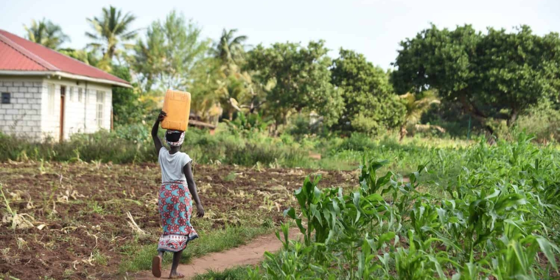 Africa faces great challenges when it comes to water with sub-Saharan Africa achieving an implementation level of just 46% in its degree of integrated water resources management. Photo: Supplied/Food For Mzansi