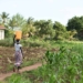 Africa faces great challenges when it comes to water with sub-Saharan Africa achieving an implementation level of just 46% in its degree of integrated water resources management. Photo: Supplied/Food For Mzansi