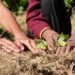 Proper planning is crucial for successful winter crop cultivation. Photo: Supplied/Food For Mzansi