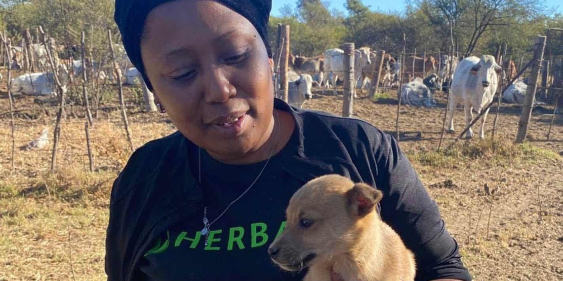 Livestock farming: When livestock farmer Boitumelo Modisane bought her first cattle at auction, she new she was finding her place in the world. Photo: Supplied/Food For Mzansi