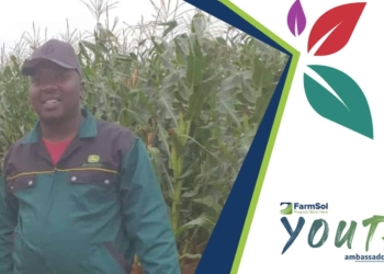 Benjamin Mbele is one of the rising farm stars participating in the FarmSol Youth Ambassador programme. Photo: Supplied/Food For Mzansi