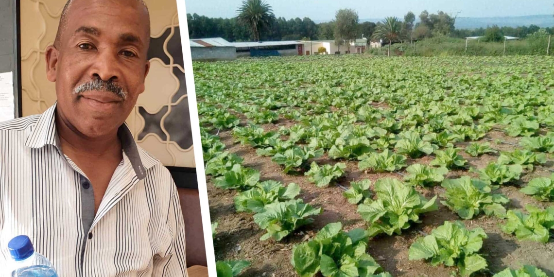 Wilson Ngema (55) had fallen in love with the land as a young boy but saw his agri dream derailed when he had to take the position as breadwinner for his family. After a 21-year hiatus he has made his way back to the sector as a farmer in his own right and the founder Insika Yesizwe South Africa a non-profit veered toward social change through agriculture. Photo: Food For Mzansi