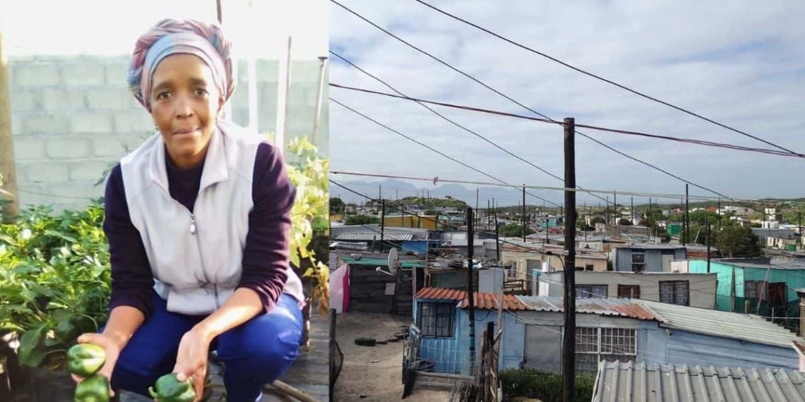 Nomonde Kweza is an award-winning farmer and the owner of, among others, the Ulimo Lwethu food garden in Gugulethu, Cape Town. Photo: Supplied/Food For Mzansi