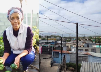 Nomonde Kweza is an award-winning farmer and the owner of, among others, the Ulimo Lwethu food garden in Gugulethu, Cape Town. Photo: Supplied/Food For Mzansi