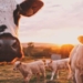 Afrivet chief executive Dr Peter Oberem says he is not surprised by a new foot-and-mouth disease outbreak in KwaZulu-Natal. Over the past 20 years, Mzansi has suffered repeated crises caused by the highly contagious animal disease. Photo: Supplied/Food For Mzansi