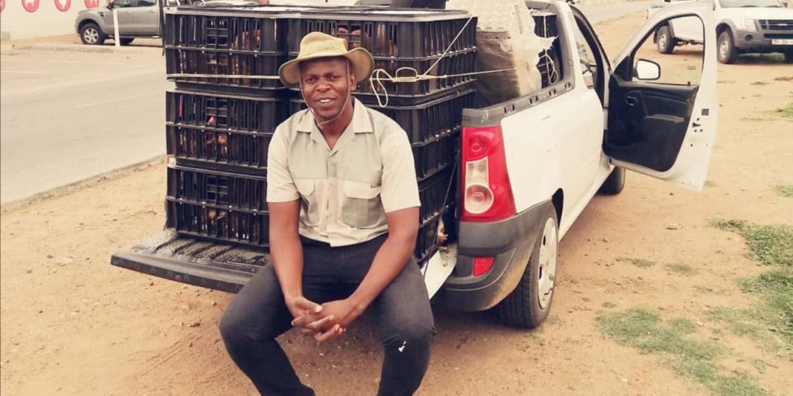 Ntoampe Mashamaite poultry farmer side hustle