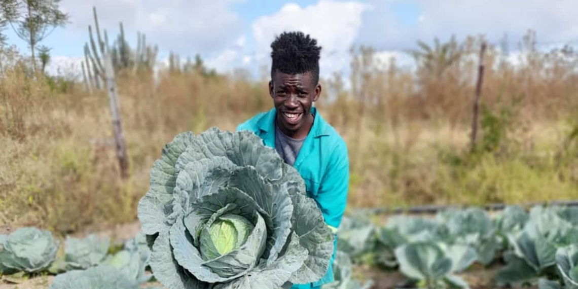 Katlego Mohloding started a poultry farm as a side hustle while a full-time student at the University of Limpopo. He then started vegetable farming to supplement the cash flow from his chicken business. Photo: Manare Matabela/Food For Mzansi