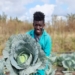 Katlego Mohloding started a poultry farm as a side hustle while a full-time student at the University of Limpopo. He then started vegetable farming to supplement the cash flow from his chicken business. Photo: Manare Matabela/Food For Mzansi